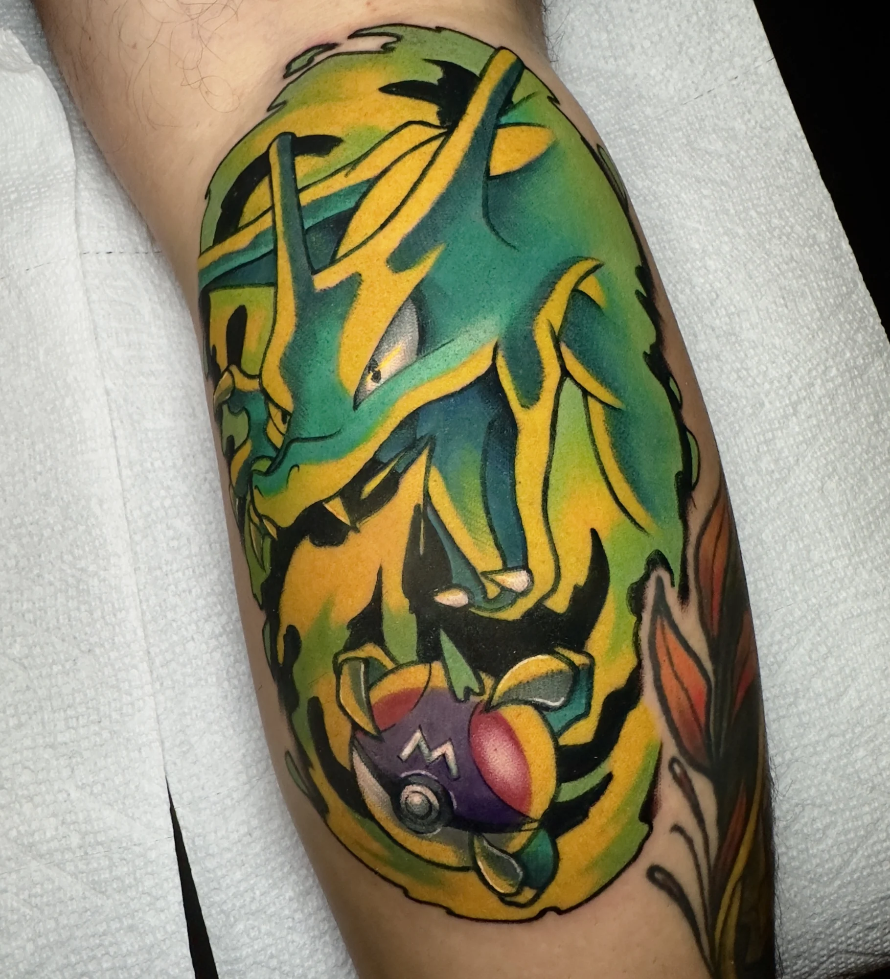 A different kind of Shiny charizard